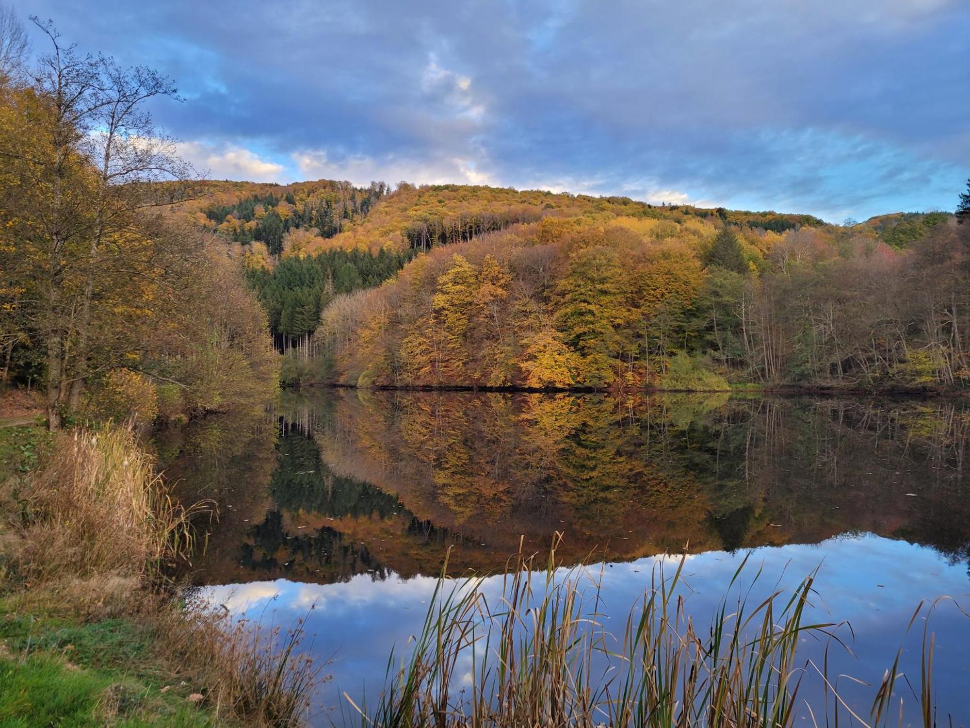 Le Lac Des Moines Condat  Bagian luar foto