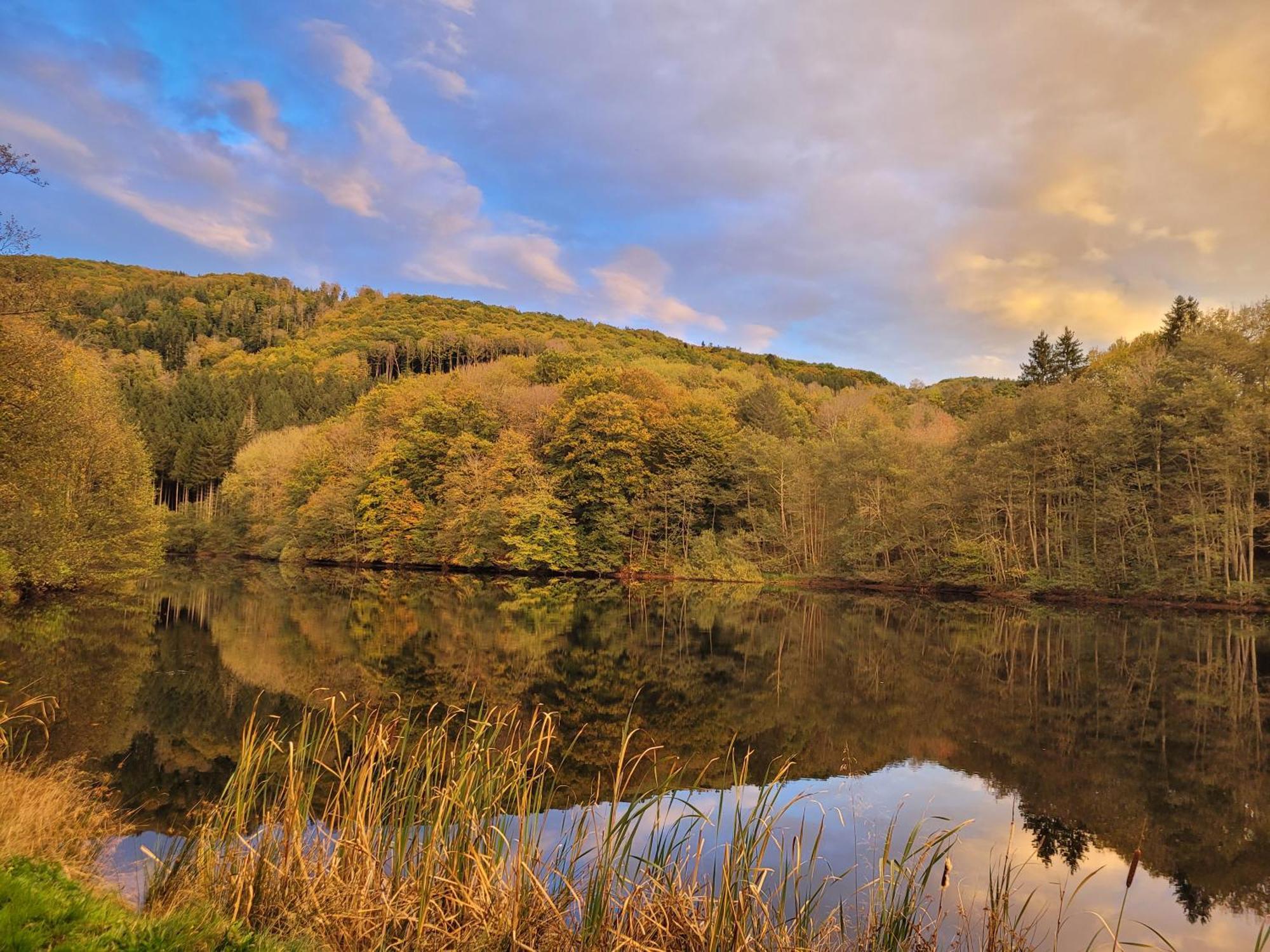 Le Lac Des Moines Condat  Bagian luar foto