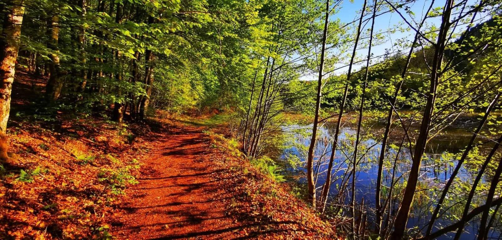 Le Lac Des Moines Condat  Bagian luar foto